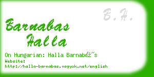 barnabas halla business card